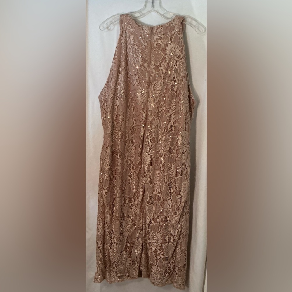 Roz & Ali Blush Lace Sequin Midi Dress - Picture 6 of 8
